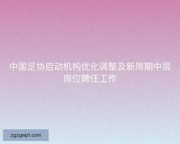 中国足协启动机构优化调整及新周期中层岗位聘任工作